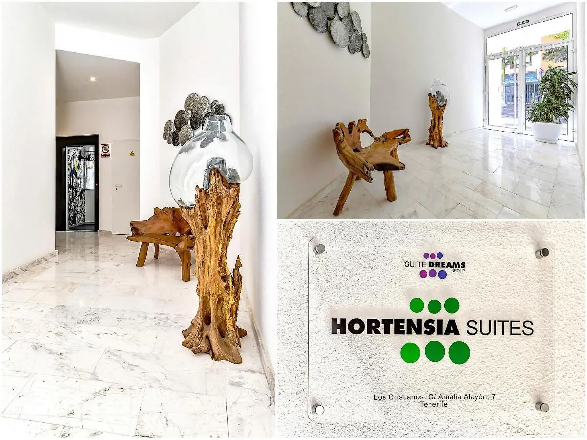 Luxury Penthouse Sea View, Los Cristianos Los Cristianos