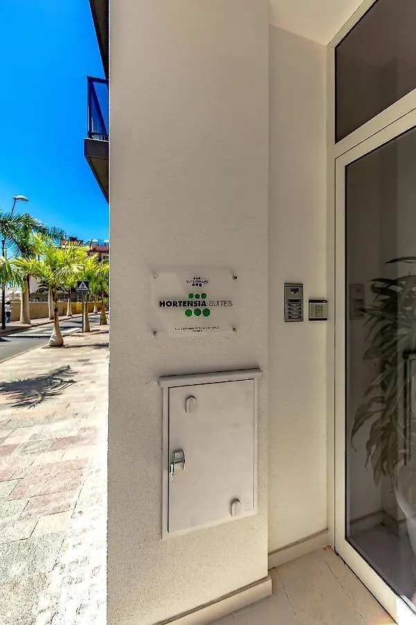 Apartment Luxury Penthouse Sea View, Los Cristianos Los Cristianos